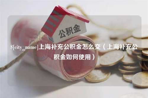 河南上海补充公积金怎么交（上海补充公积金如何使用）